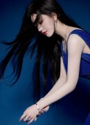 及俄罗斯以及中国等其他国度的300多家公司、银