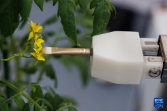 全球首台全流程智能育种机械人”（GEAIR）登上国