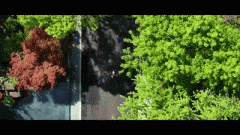 将期房出售给受买