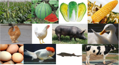 种业立异攻关力度